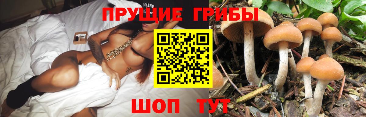 Галлюциногенные грибы Magic Shrooms Лабытнанги